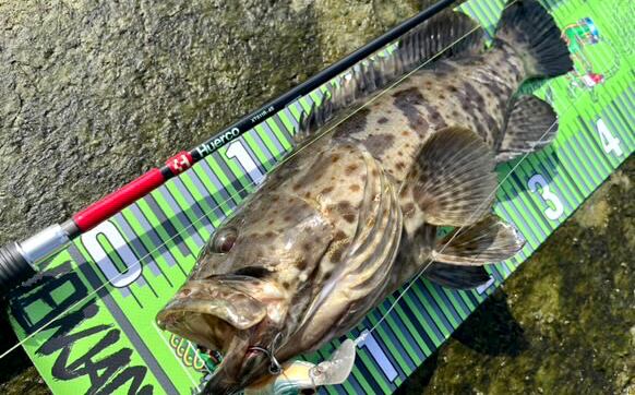 XT611R-4S | Huerco フエルコ公式オンラインパーツストア