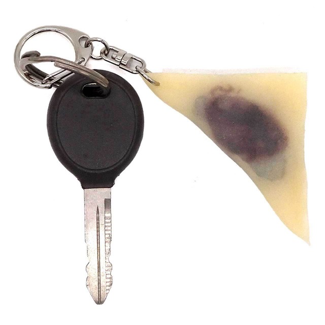 食べちゃいそうな 生八つ橋 (ニッキ・抹茶) キーホルダー ストラップ マグネット