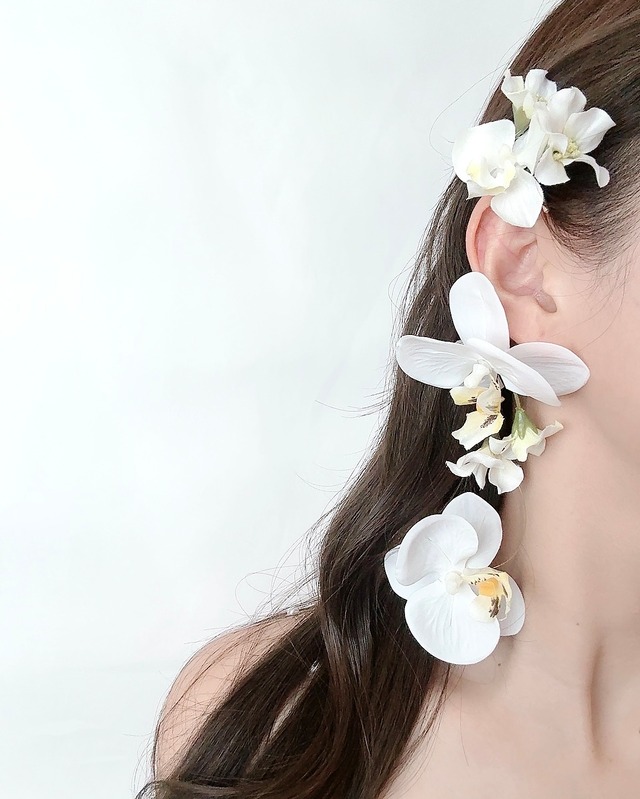 《Flower》Orchid jardin