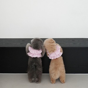 【予約】[ OHDIBS ] CAPENESS leash｜NO.19 _PINK STRIPE
