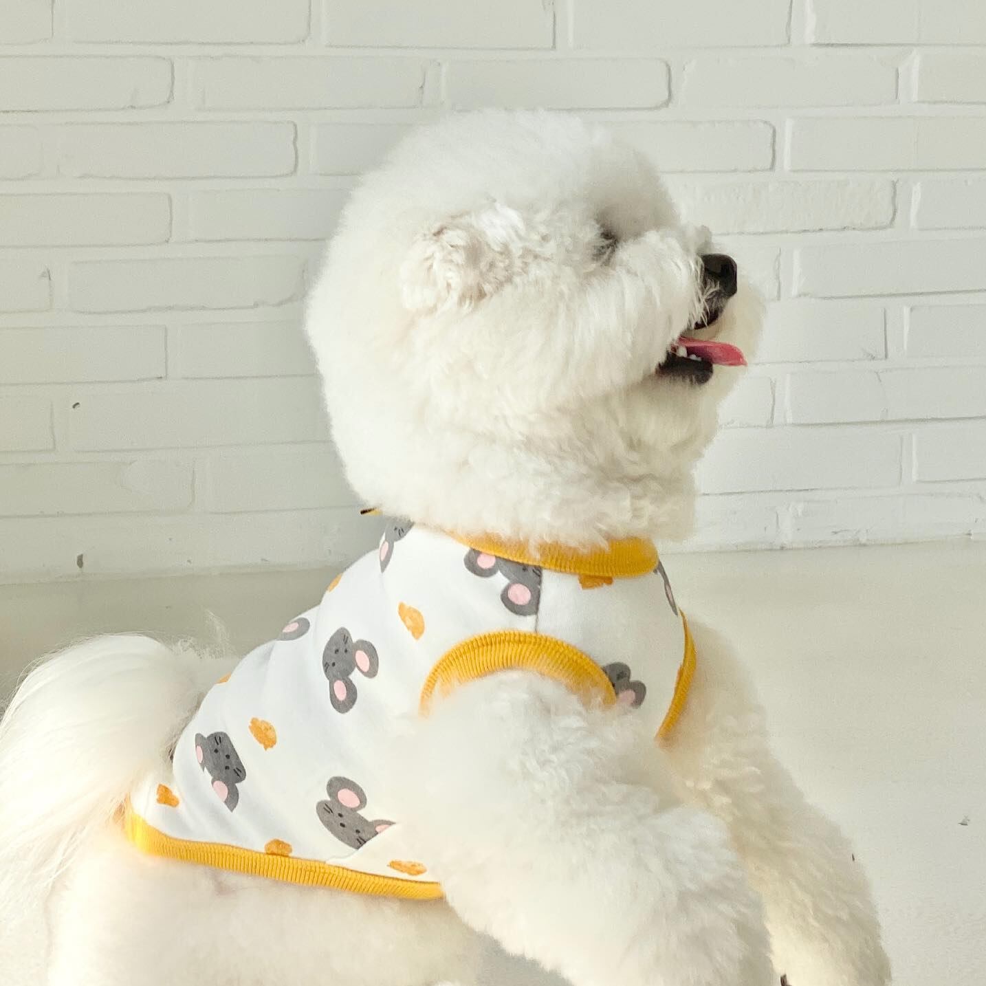 ドッグ 犬 中型犬 小型犬 フレブル チワワ パグ ヨークシャテリア Mダックス ヨークシャー ドッグウェア 室内着 パジャマ ベスト タンクトップ チョッキ タイト スリム 細身 ストレート アニマル パイピング ネズミ チーズ かわいい シンプル カジュアル おしゃれ かっこいい レトロ ボーイッシュ スポーティー 個性的 キュート ガーリー 春 夏 男の子 女の子 成犬 子ども お出かけ お泊まり アウトドア キャンプ リゾート 旅行 海 プール ビーチ 公園 休日 バカンス ショッピング 朝 散歩