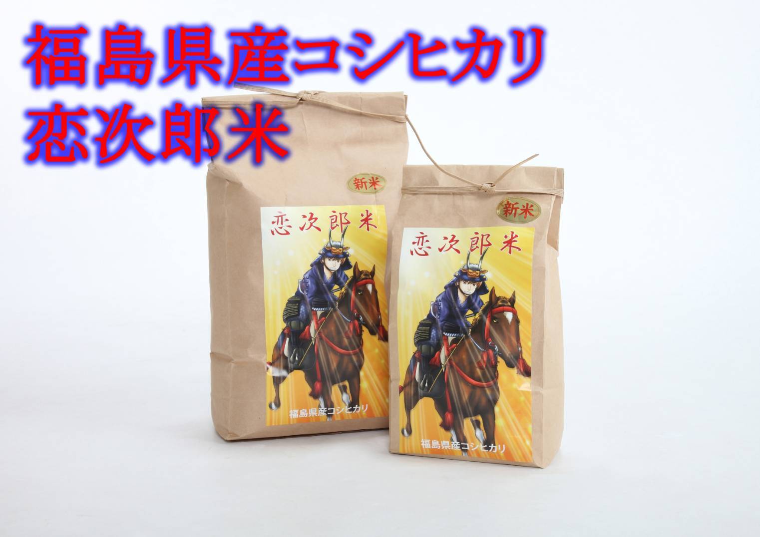 送料無料 令和５年産 コシヒカリ 福島県 会津米 白米 ２kg