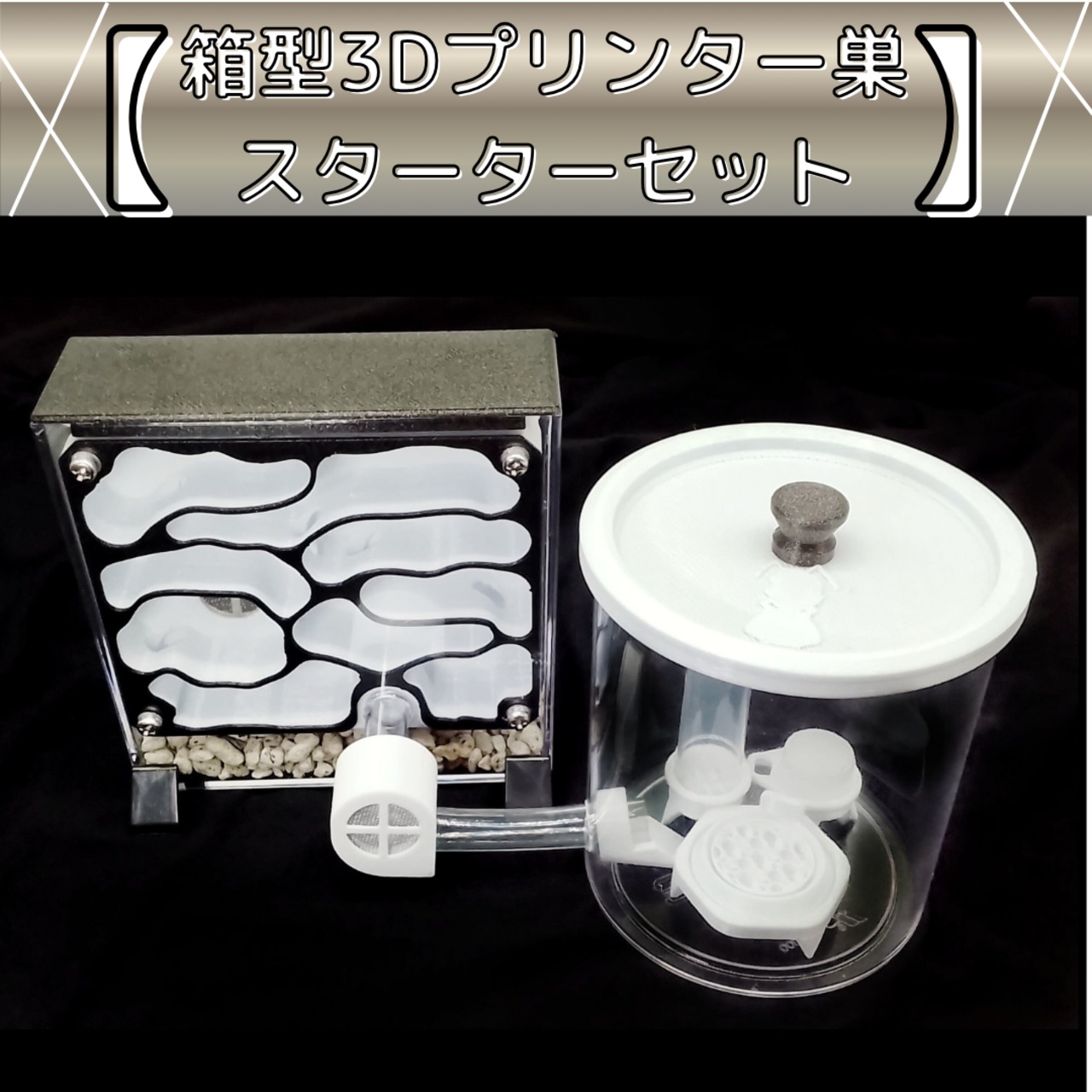 アリの巣 | あり巣 in underground（蟻の総合店,飼育用品と女王アリ）