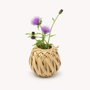 竹 花籠 「 白竹 掛置花籠「野々」 箱無し 」OYA-5  国産 大分県 別府竹細工 日本製 新生活