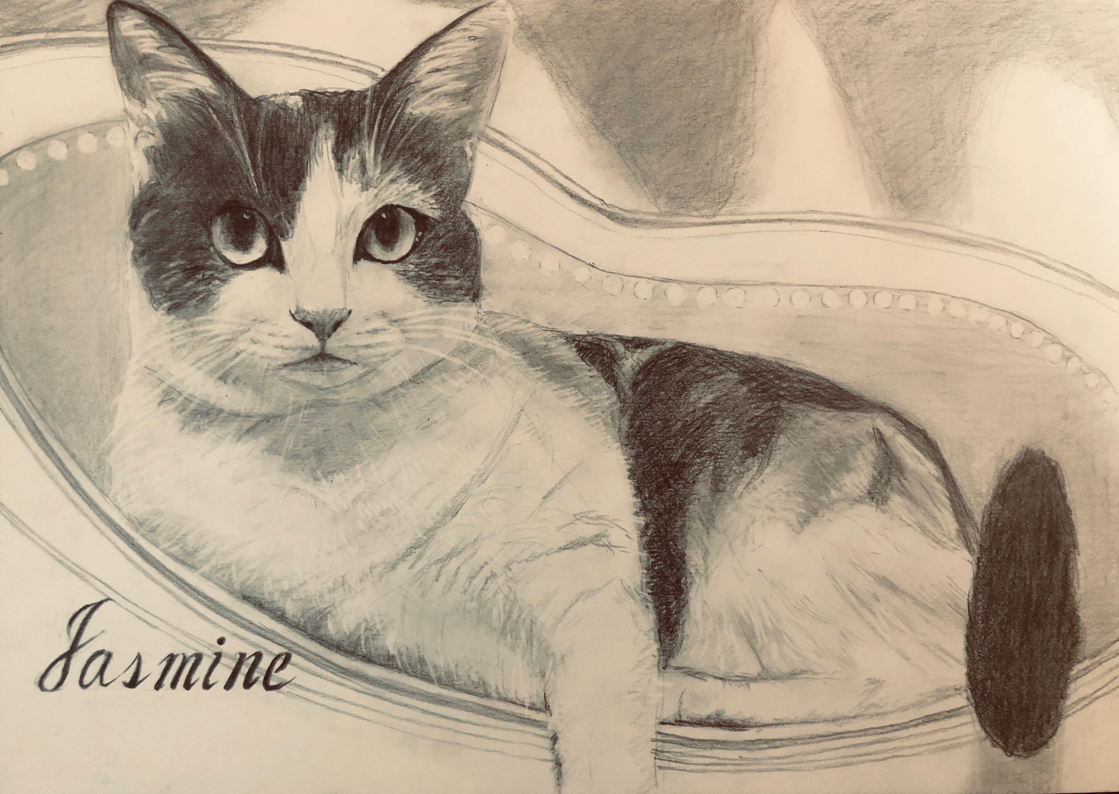 鉛筆で描くペット似顔絵 | 似顔絵屋TAKA