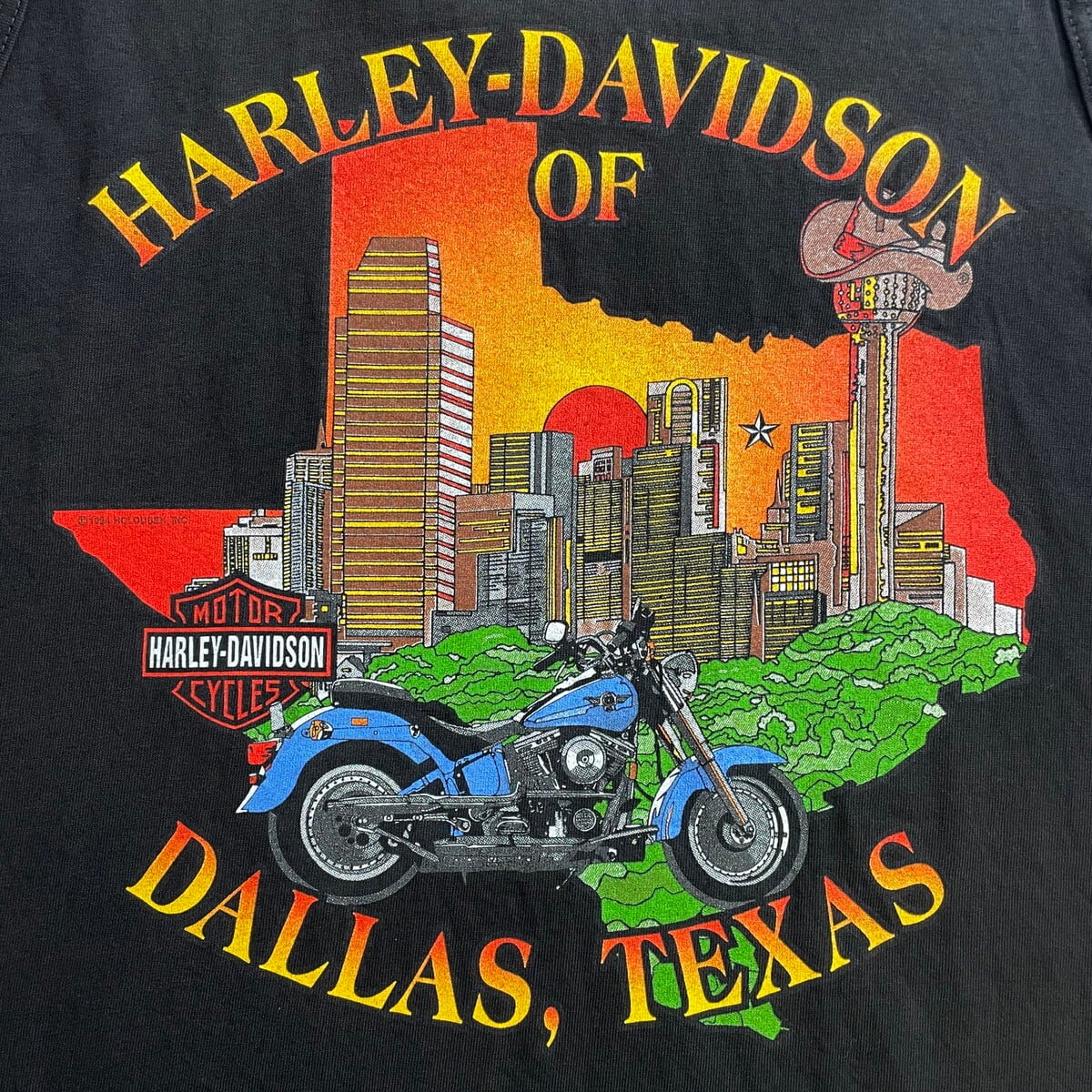90年代 USA製 Harley-Davidson ハーレーダビッドソン イーグル 地球