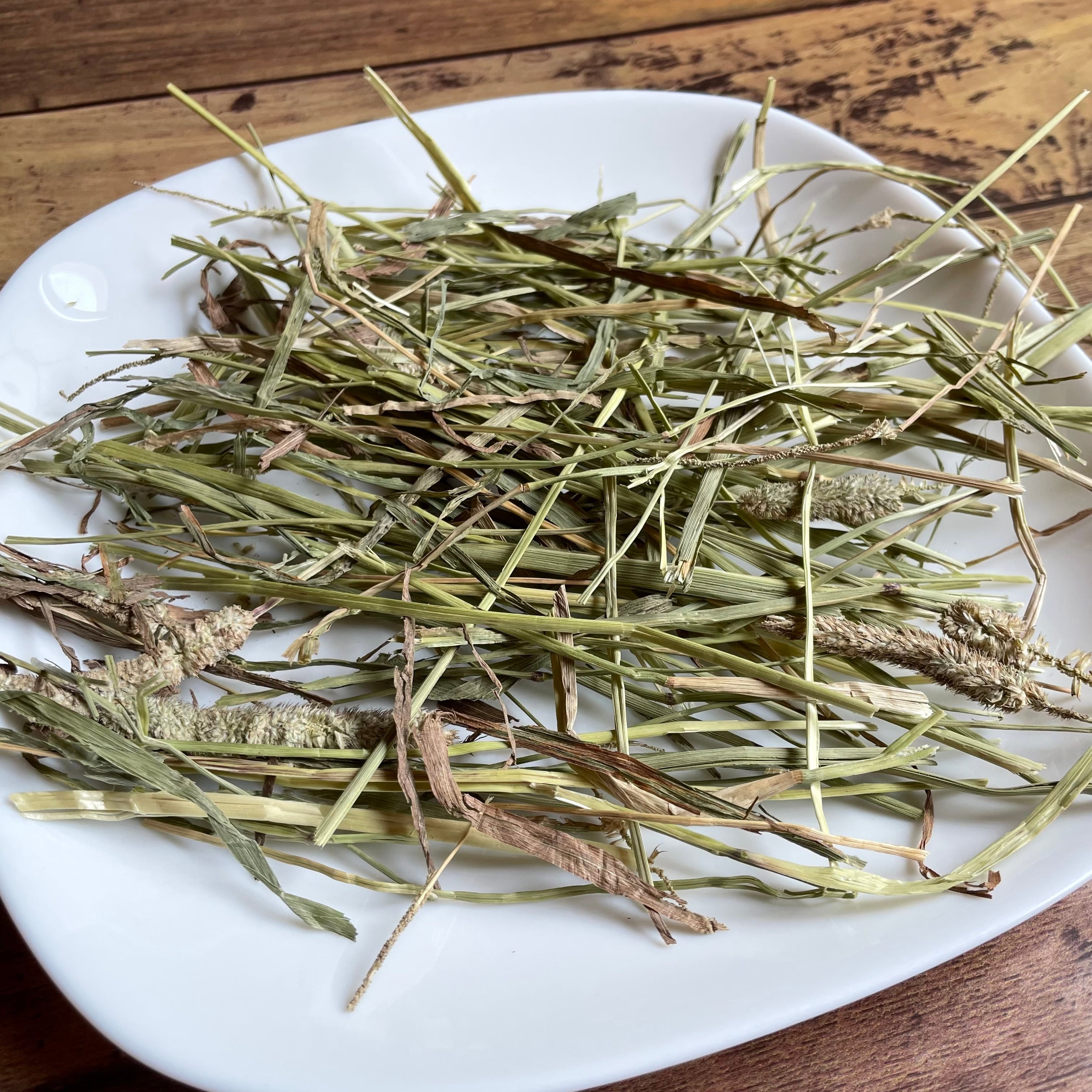 カナダ産（ドライランドエリア）チモシー ショート 500g