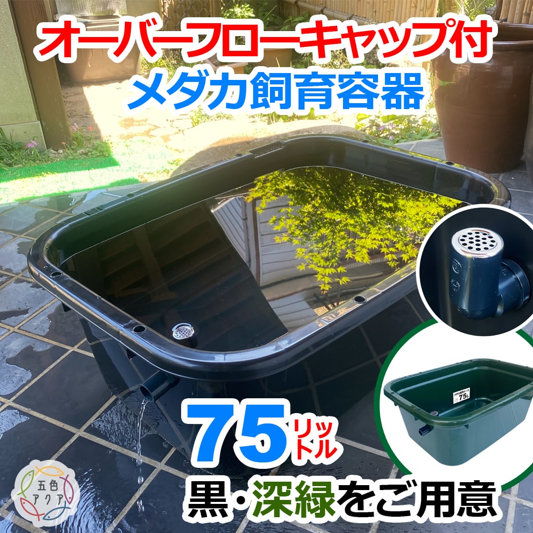 五色アクア BASE店