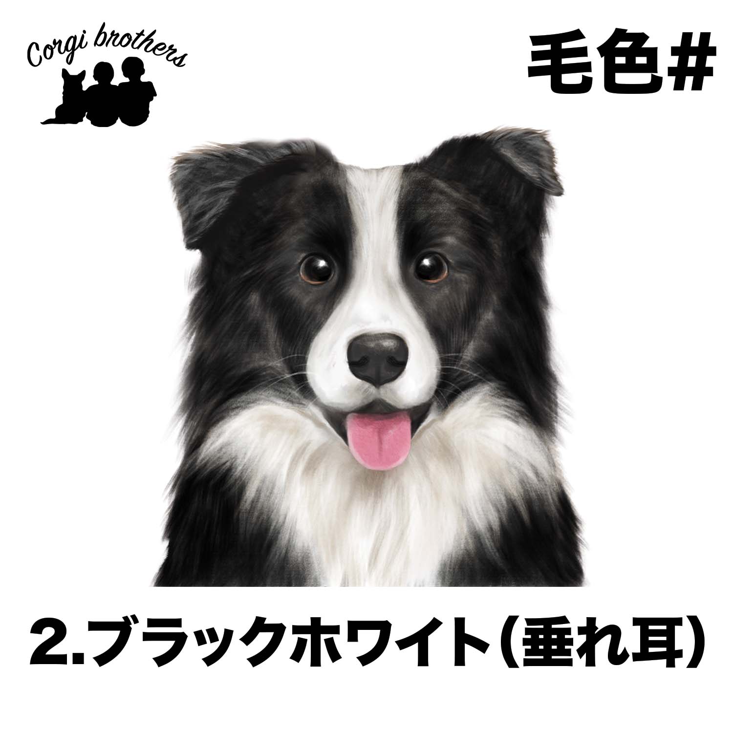 ボーダーコリー 水彩画風 毛色4色 】 タオルハンカチ ピンク＆ブルー2