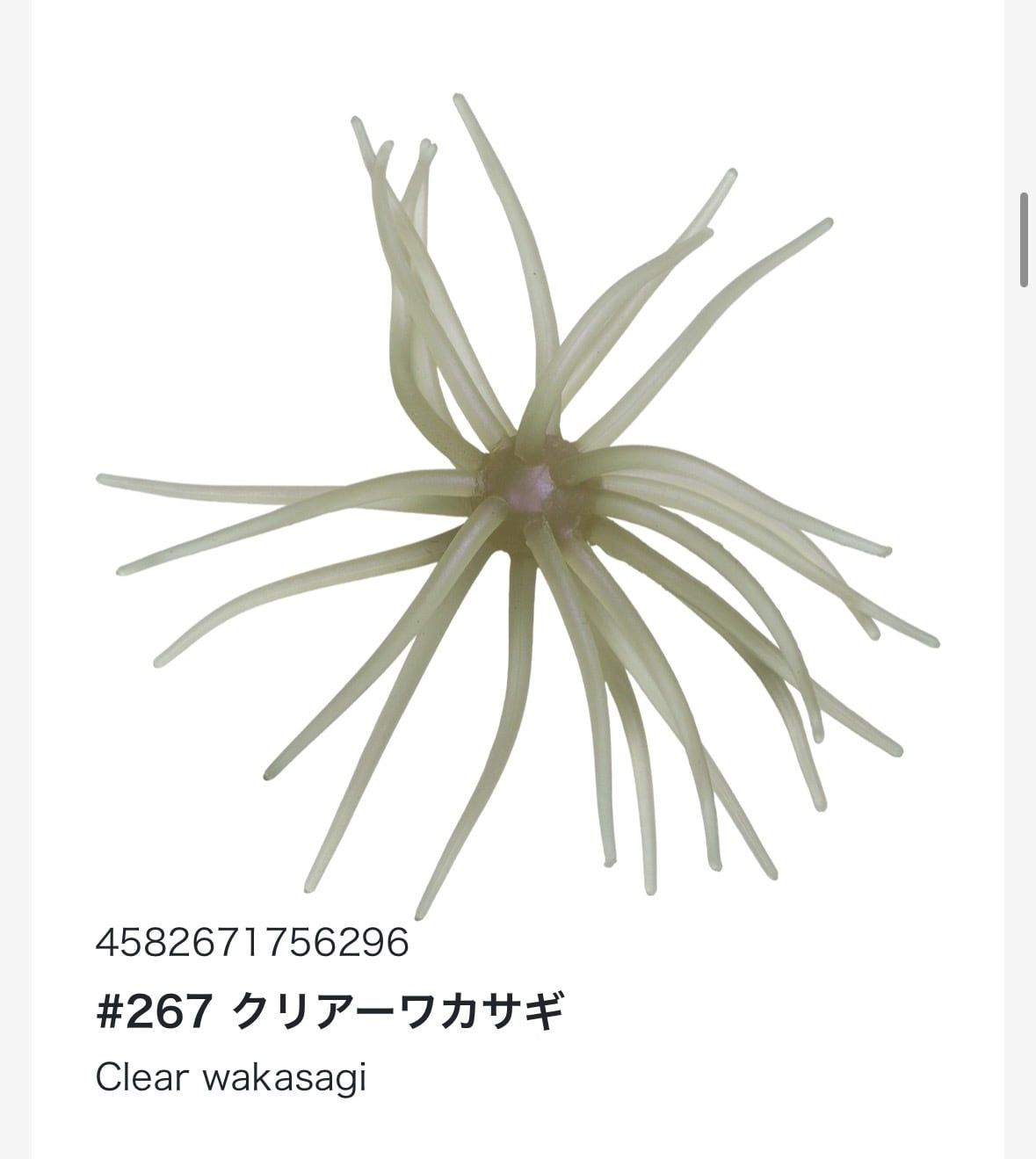 旧コイケ　新品セット lure-shop-bb_kyuukoikesoft