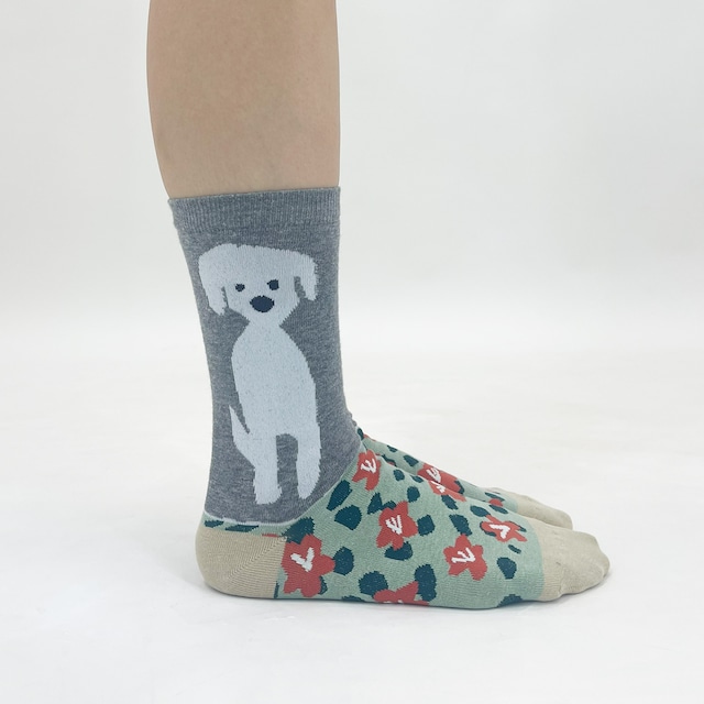 【JIN KITAMURA】北村人 SOCKS DOG IN FLOWER GARDEN 犬と お花畑 ソックス