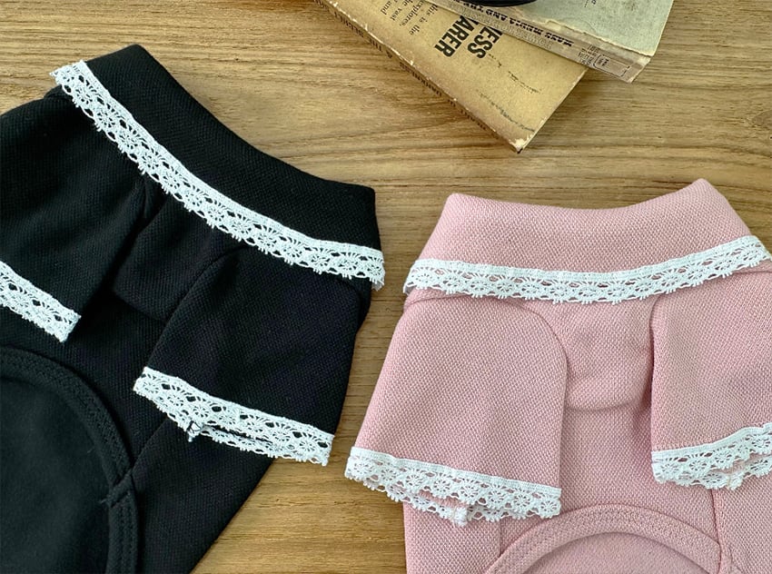 muse pk t-shirt S ~ XL 2color / 犬服 秋冬 新作 トップス シンプル 長袖 ドッグウェア 犬 服 小型犬 中型犬 襟付き tシャツ レース