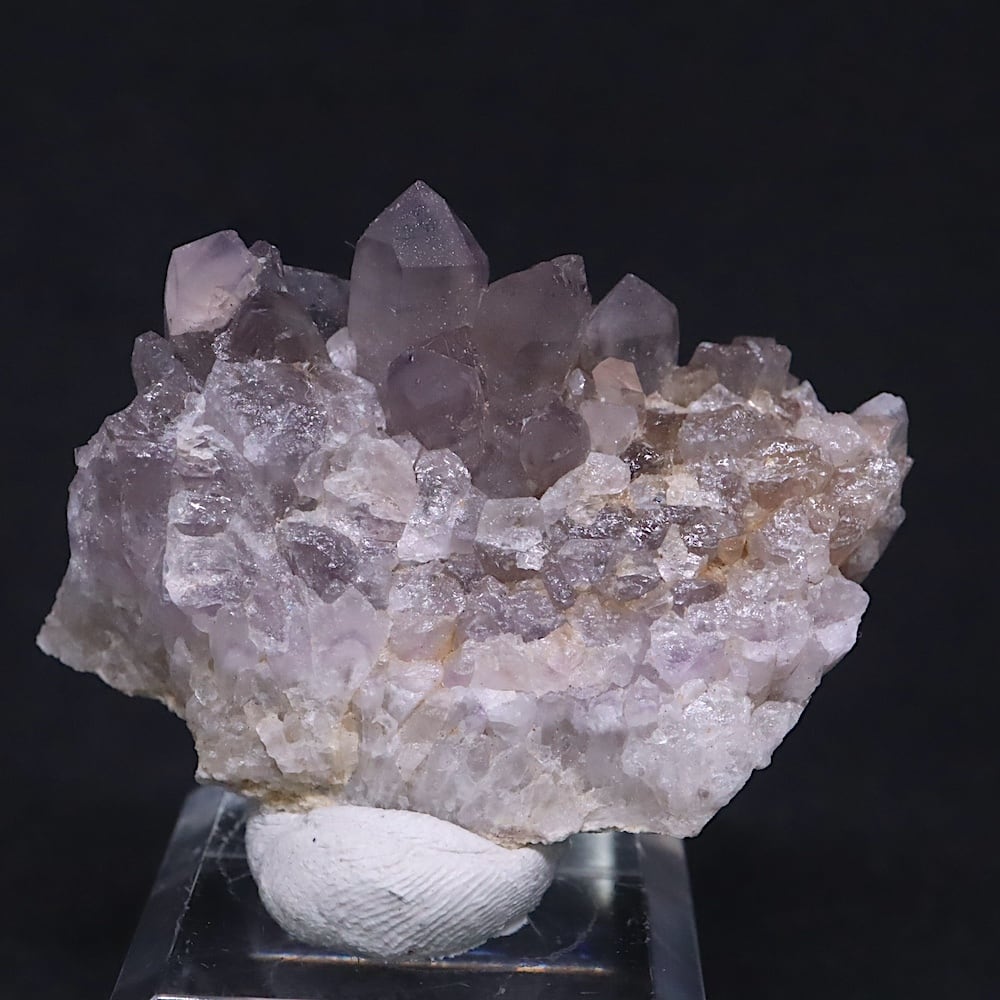 天使・神の指紋！アメジスト 紫水晶 クォーツ 26g AMT325 鉱物 原石