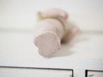追加画像のページ 画像6