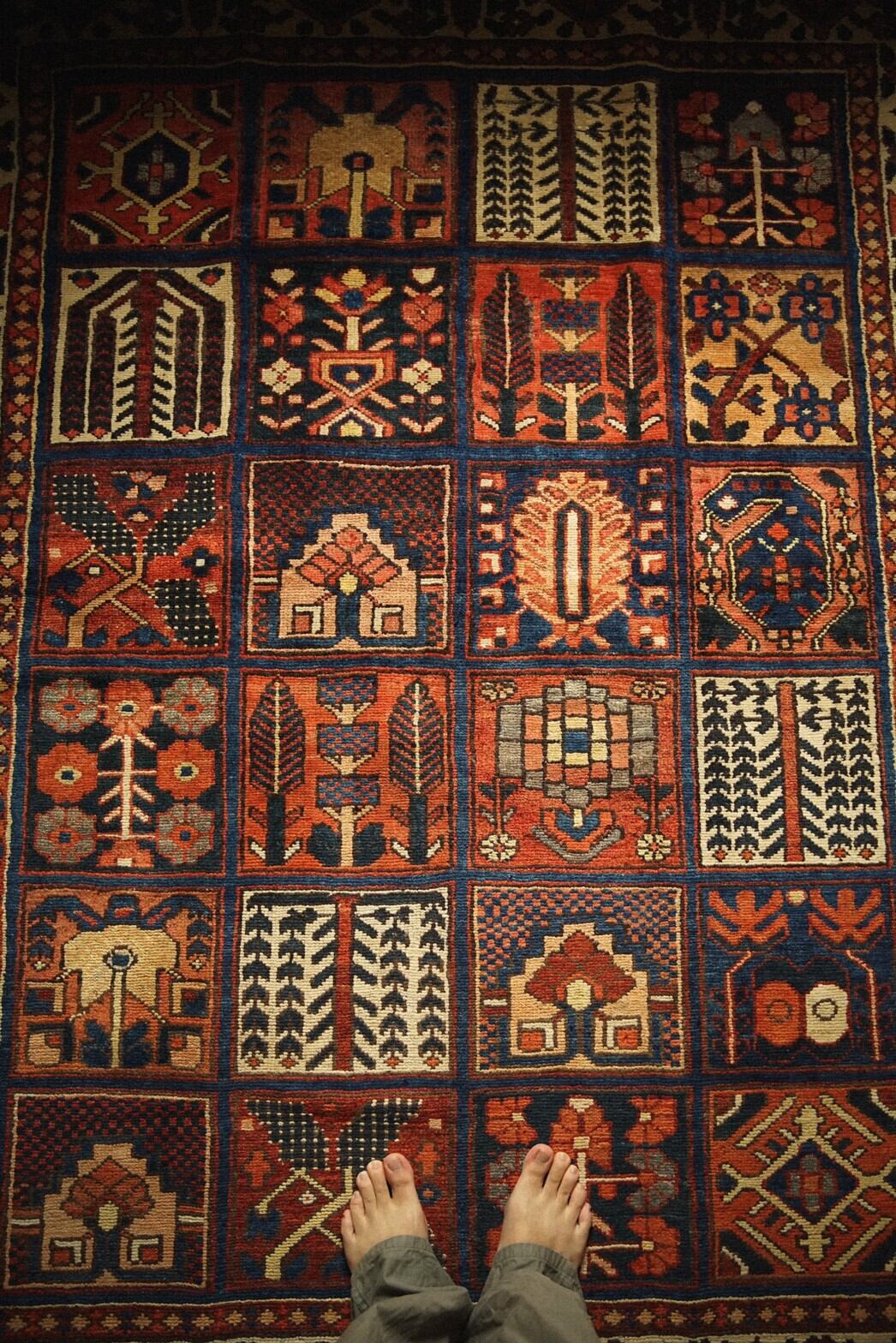 619 -Semi Antique bakhtiyar rug