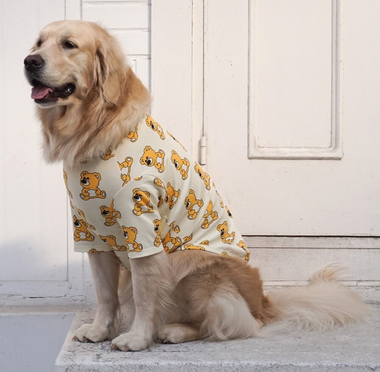 4～6XL/予約【andblank】Joy Bear Short Sleeve《Ivory》