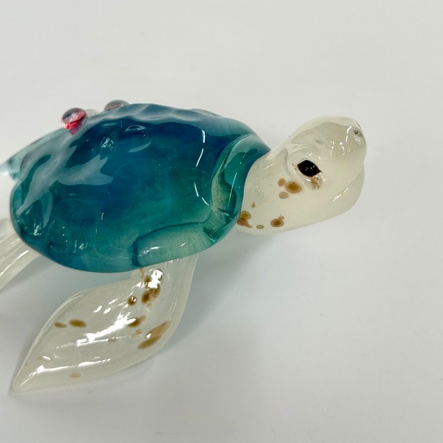 岩沢 達　ウミガメ ジュエリー付き