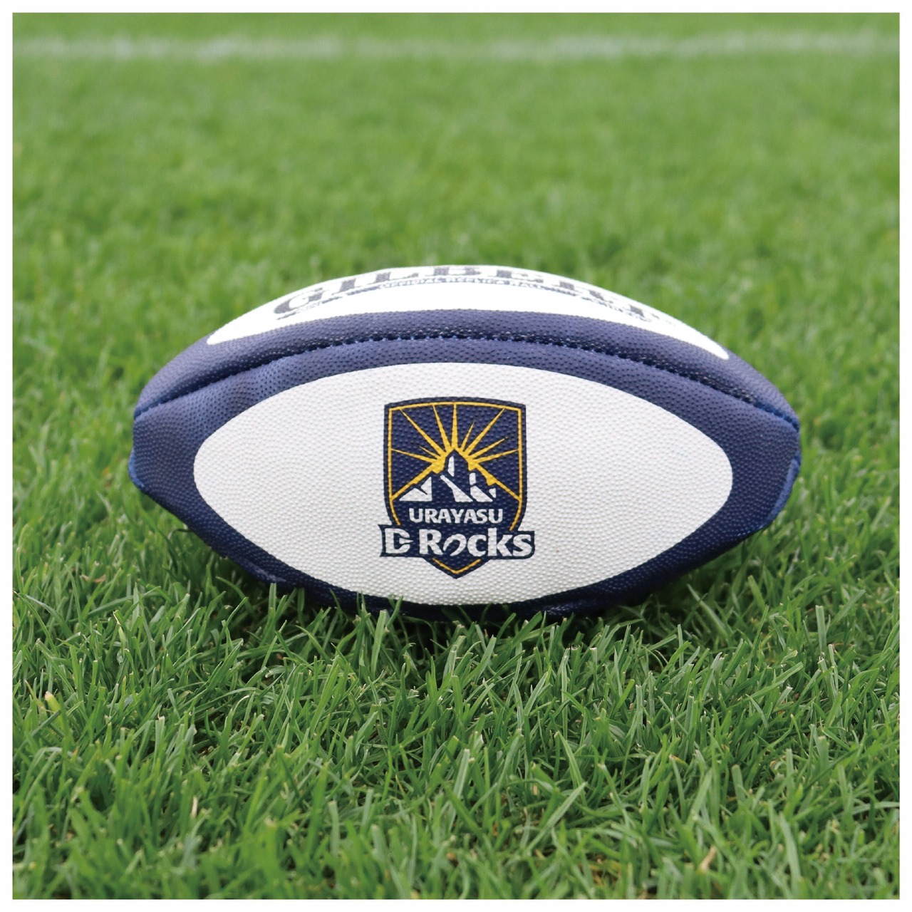 【FC会員限定・会場受け取り専用】ミニボール