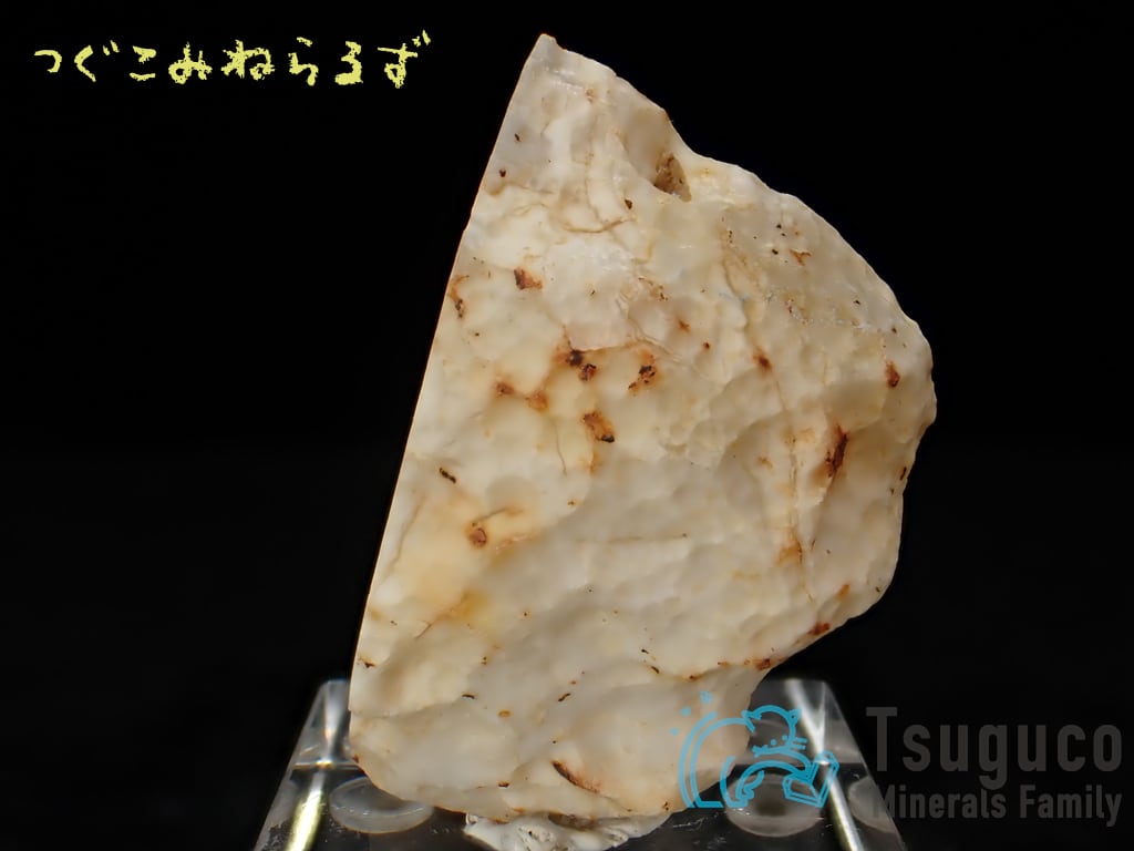 アゲート 瑪瑙 Agate ドイツ TM-0020