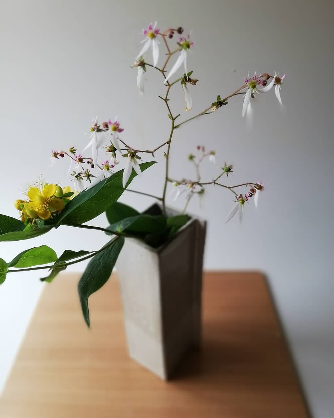 うのふ釉四角花入 | utuwanoyukue