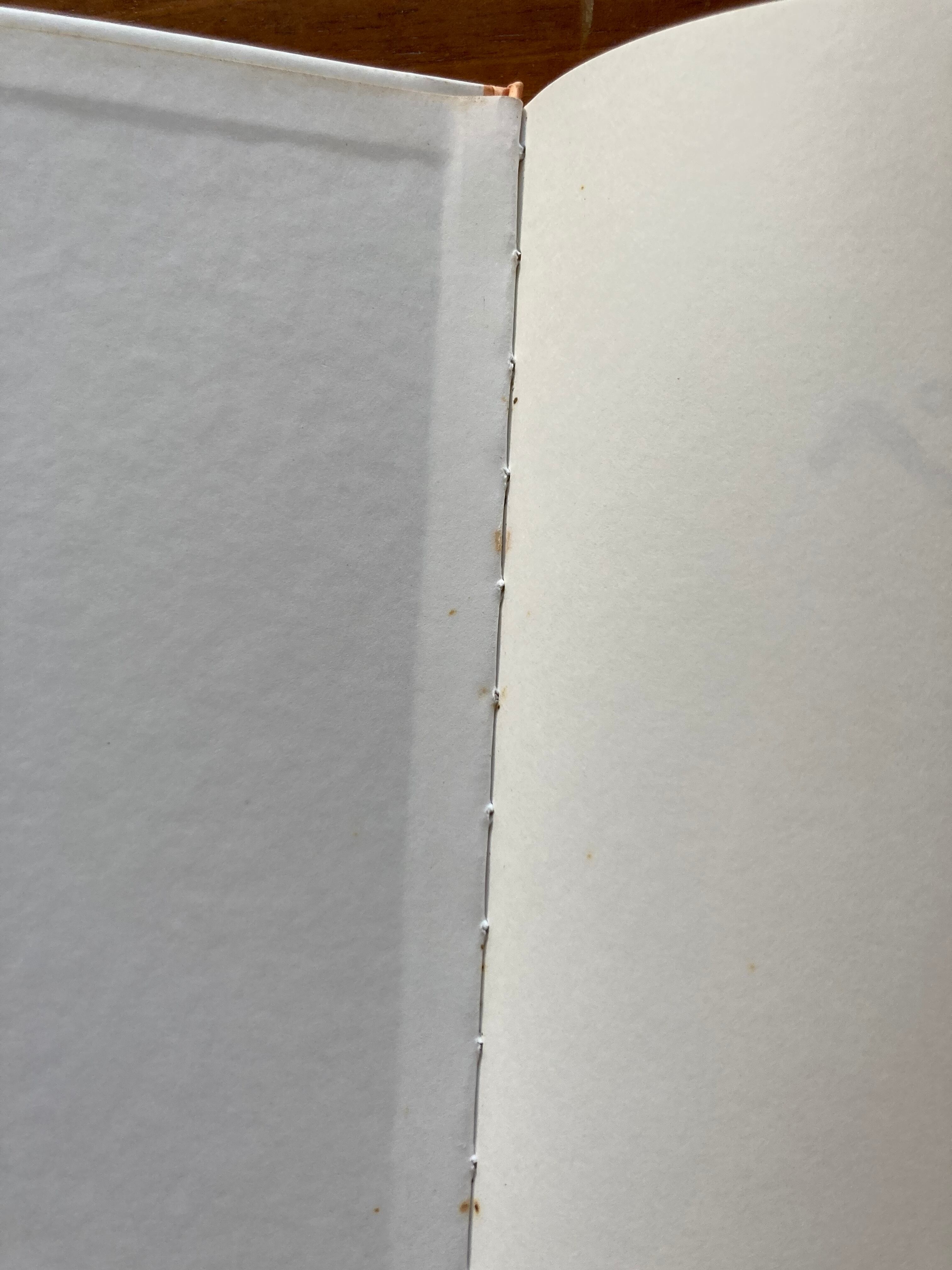 ペッテルとロッタのぼうけん(世界傑作絵本シリーズ)