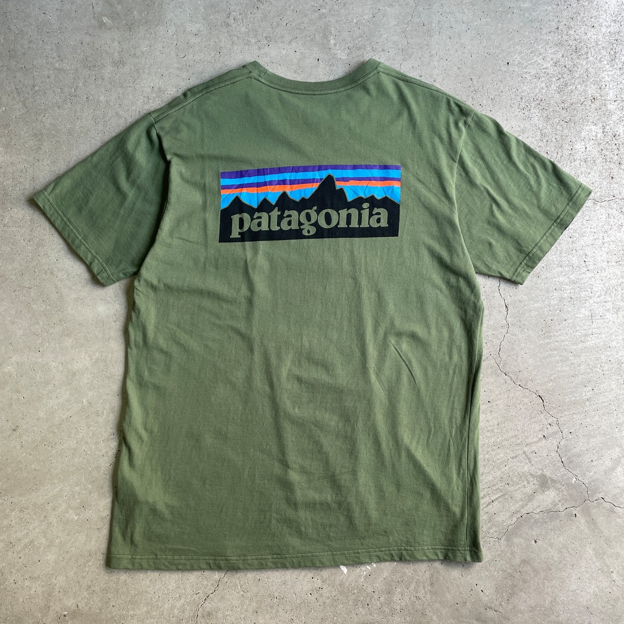 patagonia パタゴニア 胸ロゴ バックプリント オーガニックコットン T 