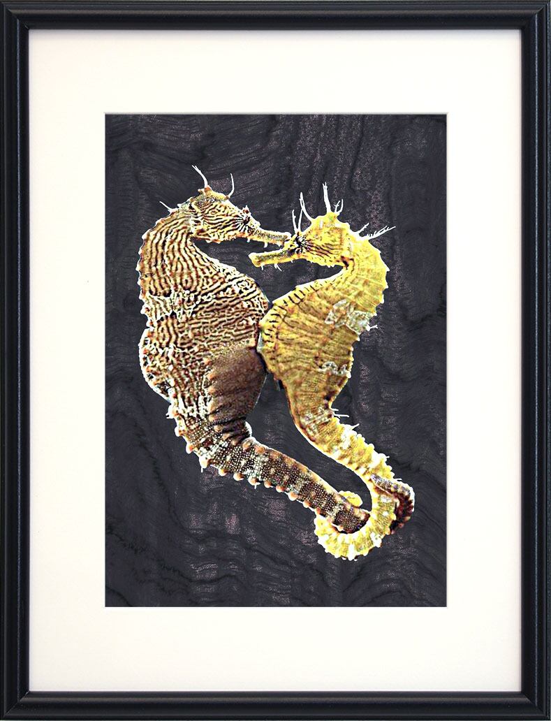 愛し合うタツノオトシゴ 額装 彦坂尚嘉 きたいぶんしギャラリー3000