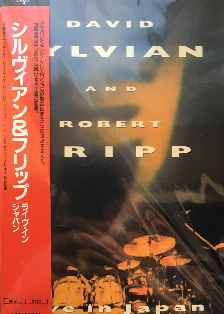 David Sylvian And Robert Fripp デヴィッド・シルヴィアン ロバート