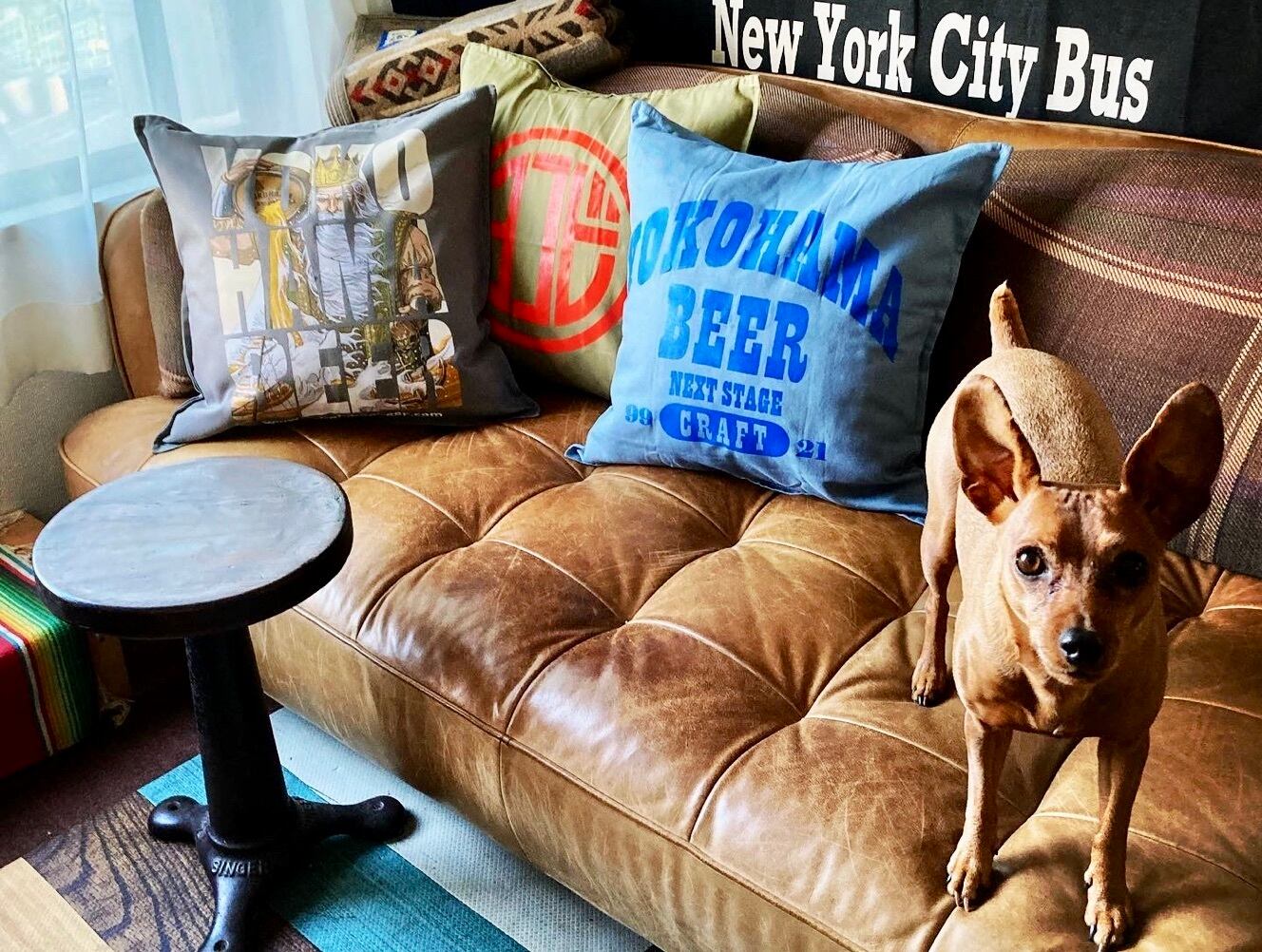 オリジナルクッションカバー 全５種 横浜ビール 通販サイト