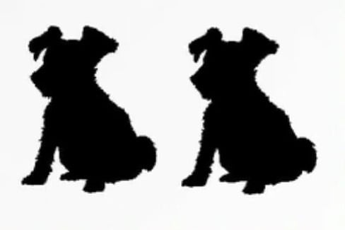 OnePointミニステッカー「シュナウザー」2枚1セット　黒