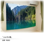 【受注生産】ファブリックポスター 幅213×丈140cm　森林の景色　6種