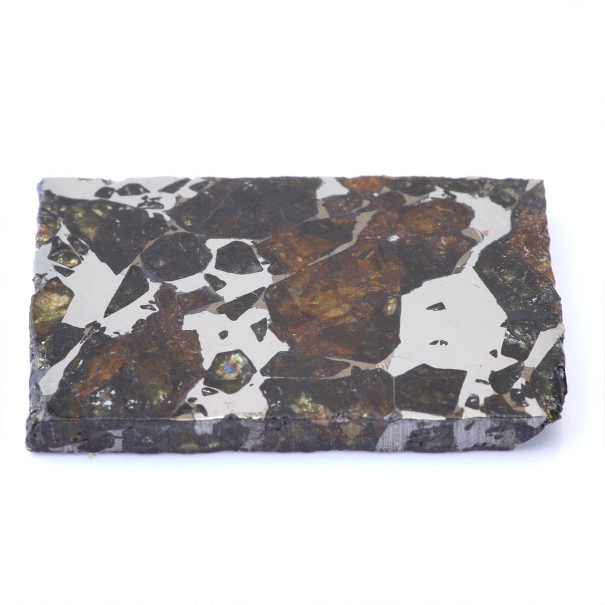 隕石のレア度：珍しい | 隕石販売.jp