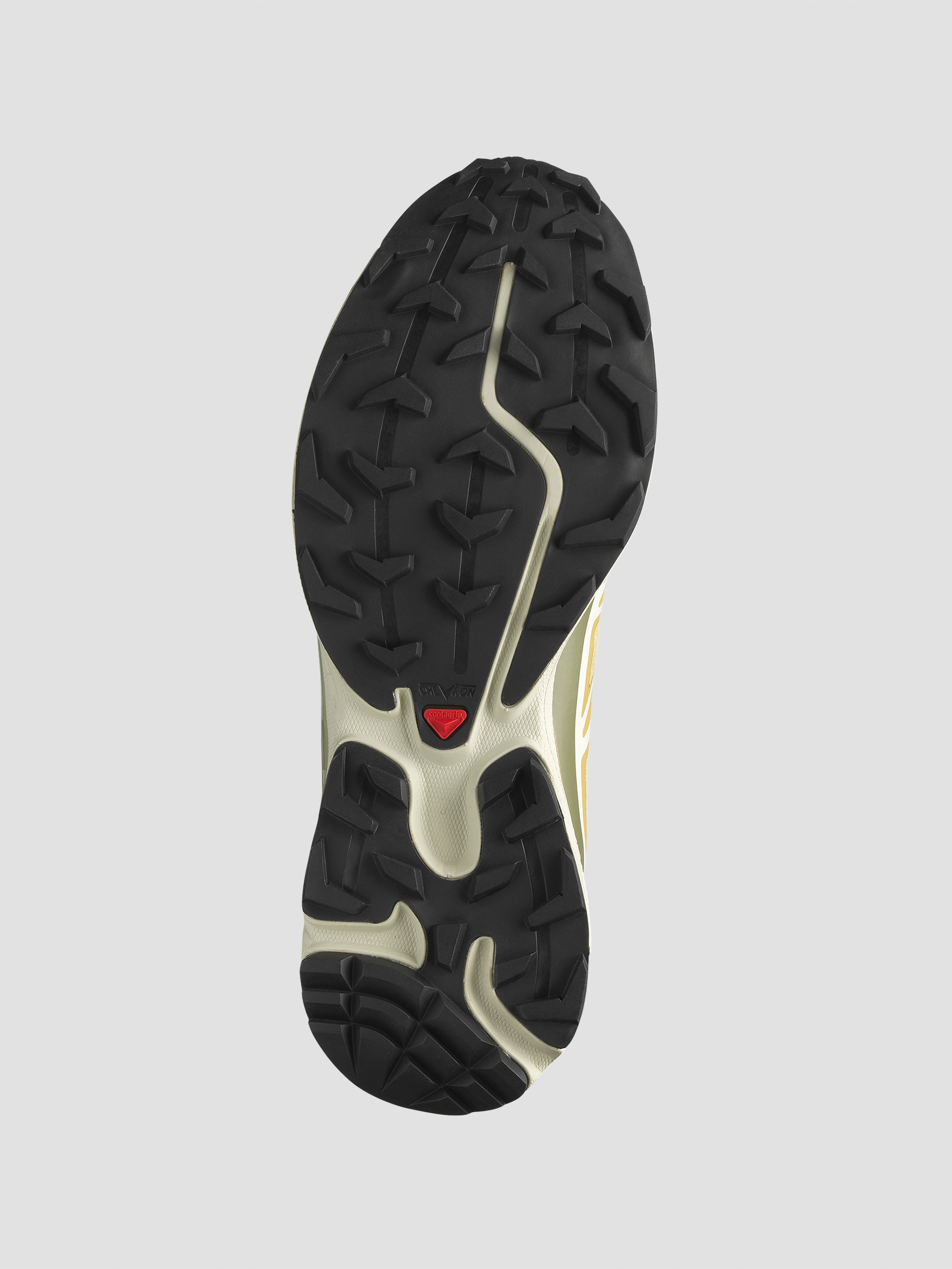 SALOMON ADVANCED XT-6 GTX Antelope/Icicle/Portabella L47581000 