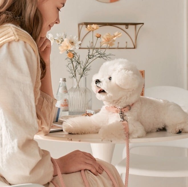 即納【stroll】Rope Collar (Pink)