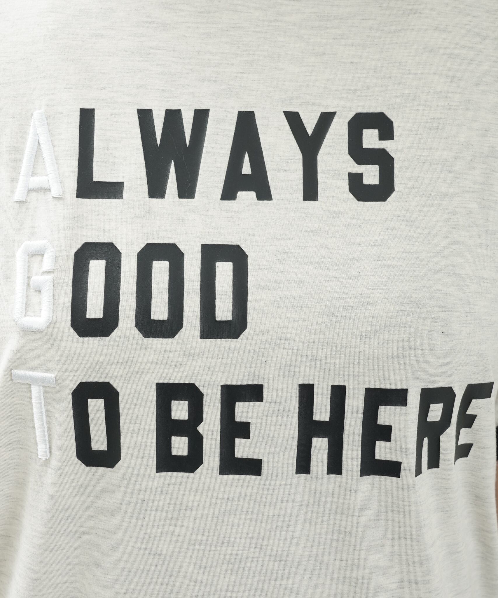 AGNOST 刺繍カットソー6300円＋TAX