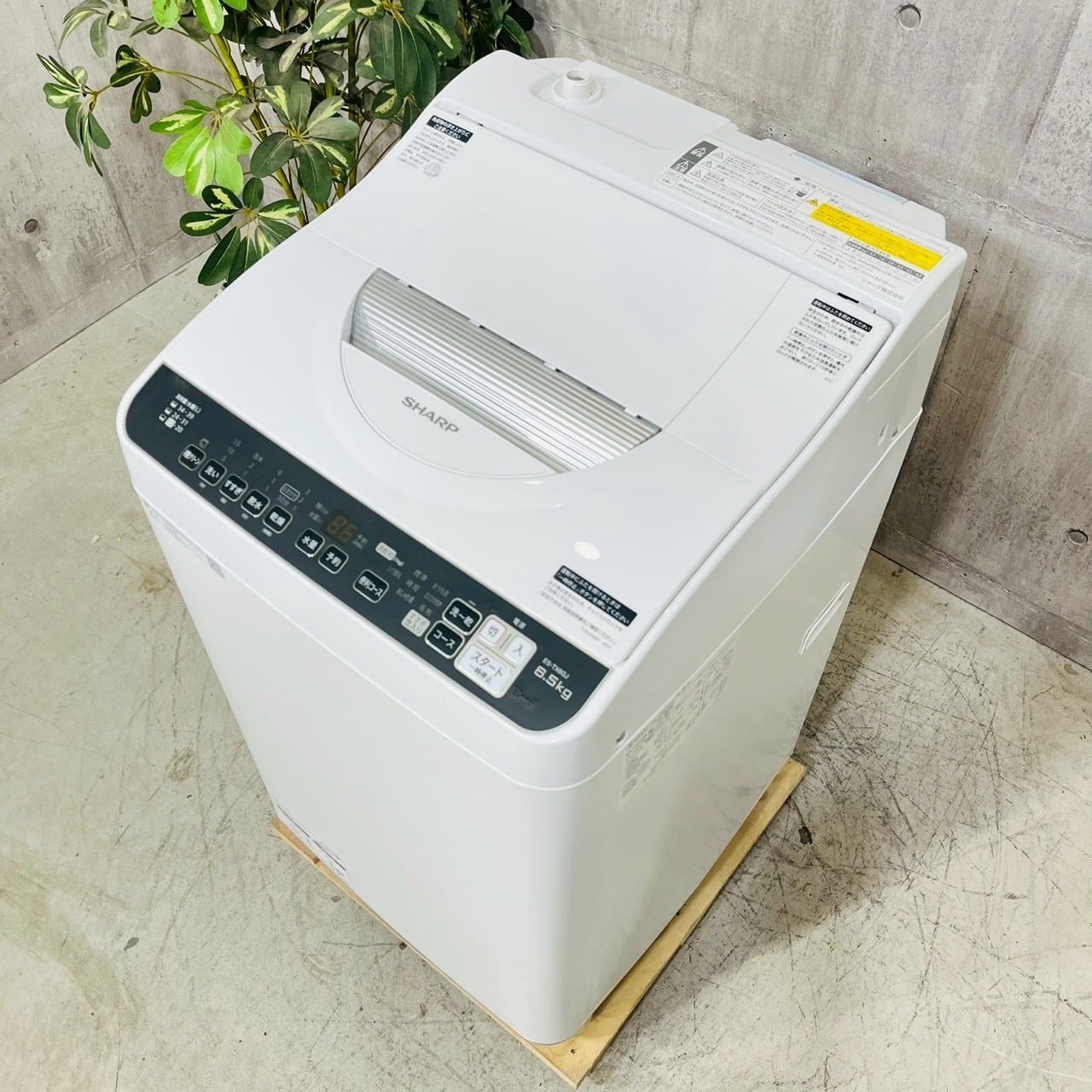♦️SHARP a5334 洗濯機 6.5kg 2022年製 12.5♦️ | リユース家電を ♦️SHARP a5334 洗濯機 6.5kg 2022年製 12.5♦️ | リユース家電を