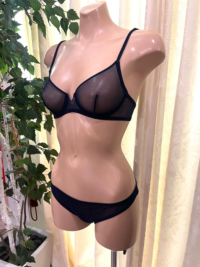 EXILIA <イタリア、エクセリア> 最高級マイクロチュールレース ワイヤー入り一枚ブラジャー&ショーツ セット