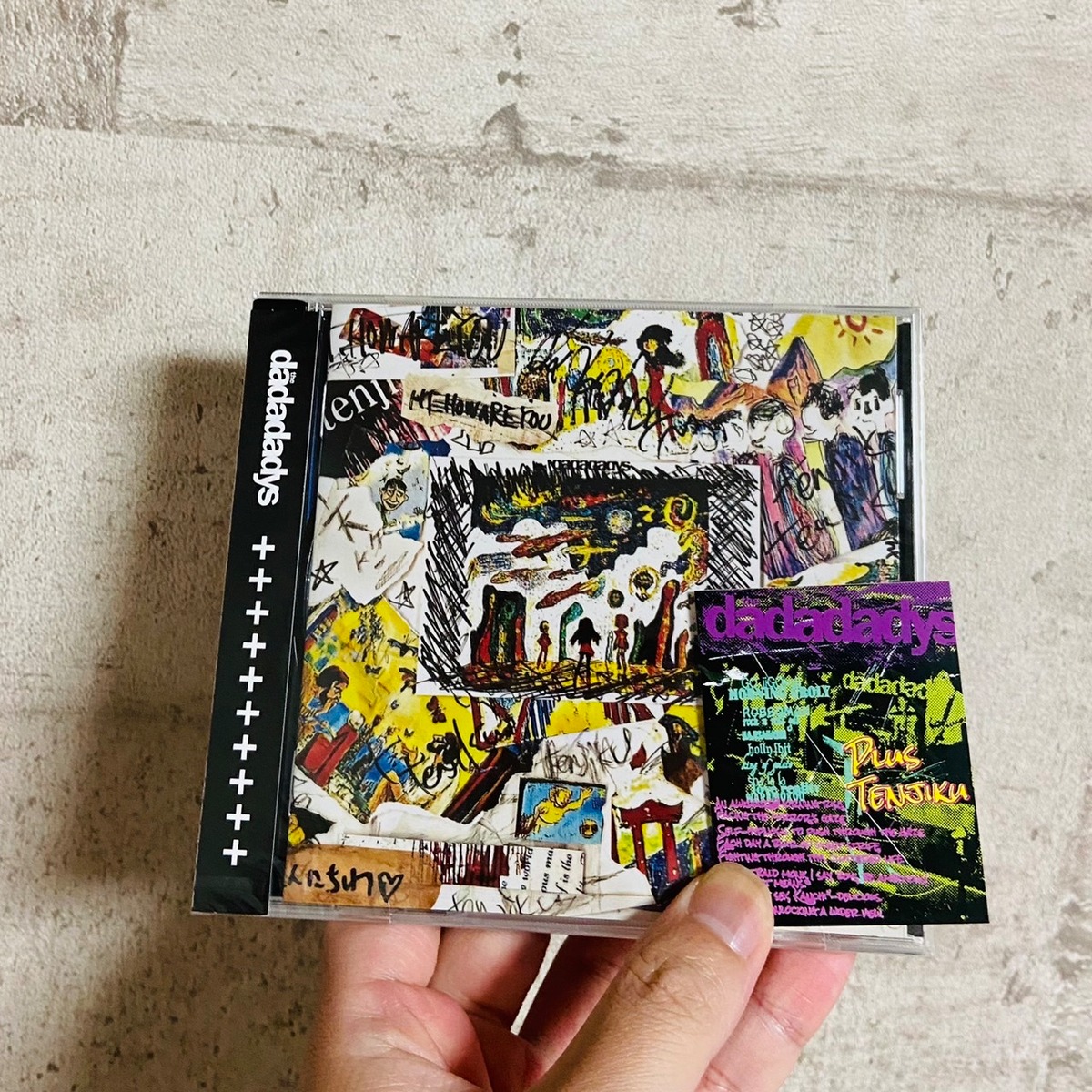 特典】 the dadadadys / ＋天竺 (プラステンジク) | HOLIDAY! RECORDS 