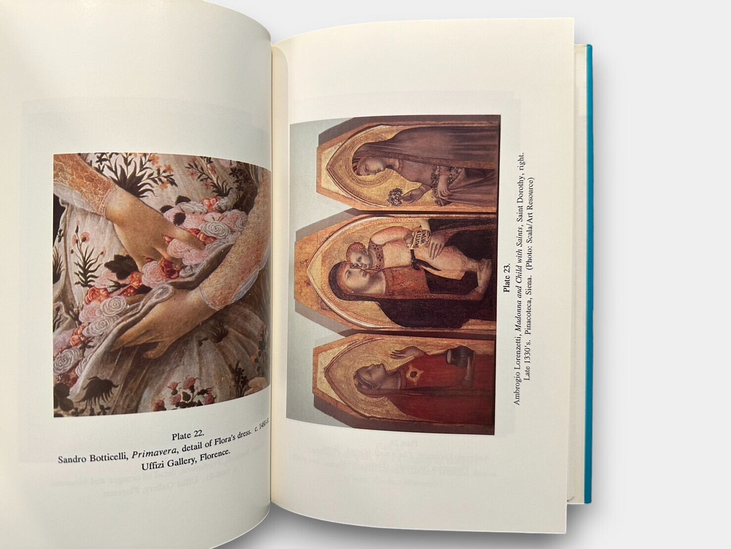 お値下げ！BOTTICELLI'S PRIMAVERA Primavera Botticelli - Etsy