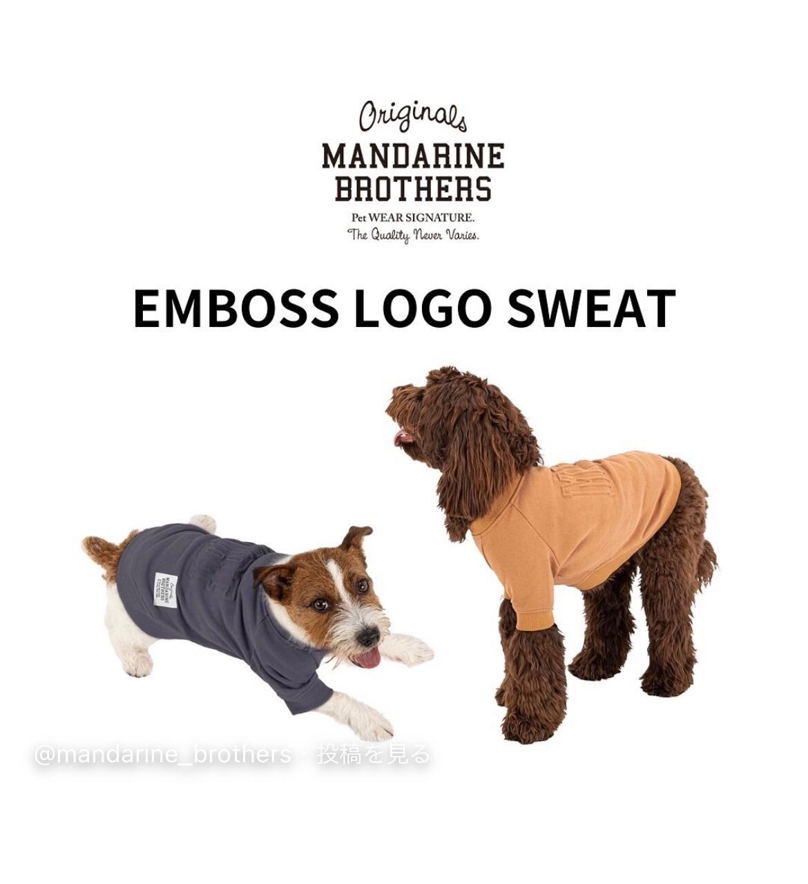サイズ3L 【EMBOSS LOGO SWEAT】MANDARINE BROTHERS 犬服　ドッグウェア
