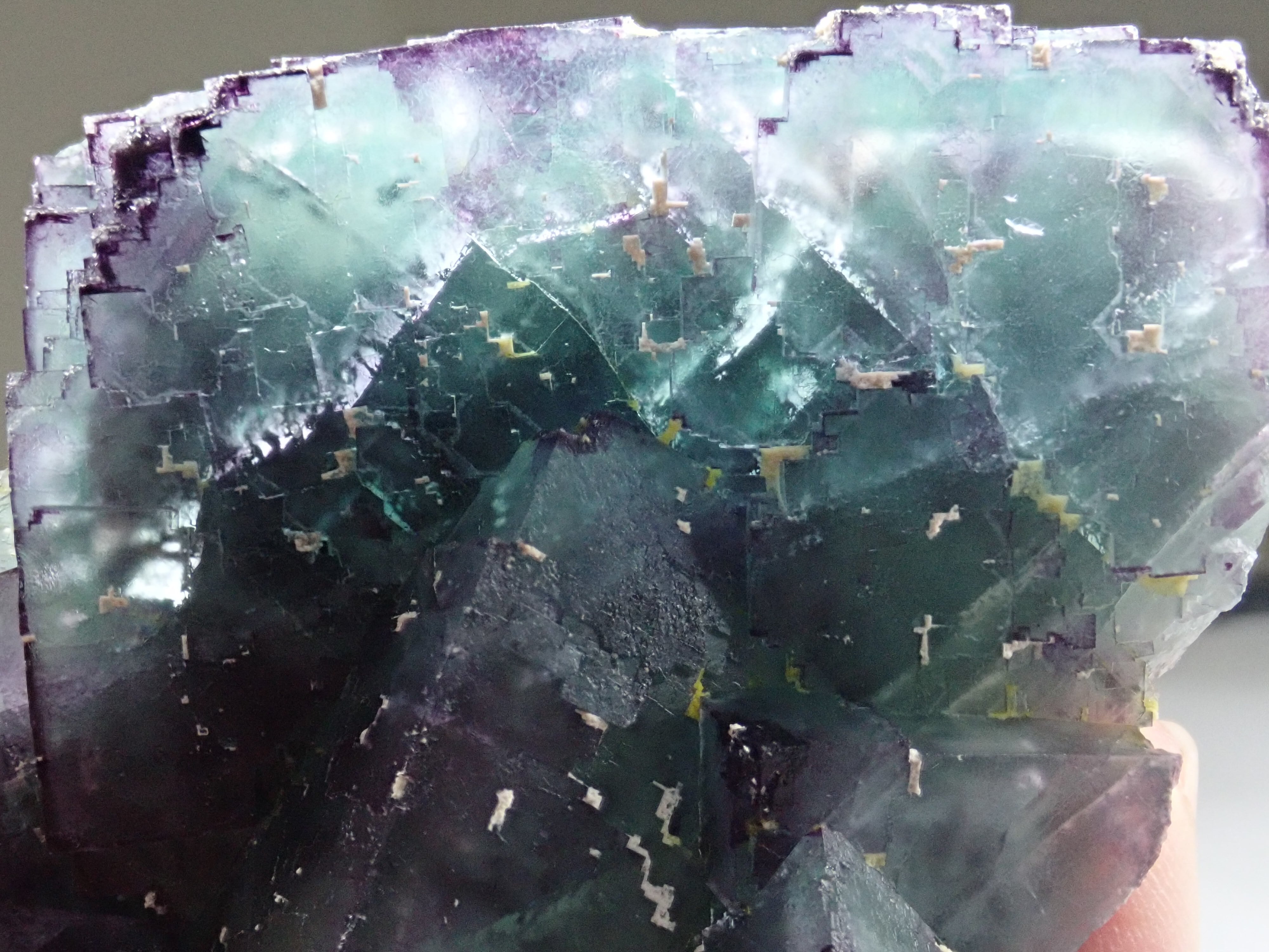 特大結晶】オコルス鉱山 フローライト 蛍石 原石 標本 | 石処たっちゃん