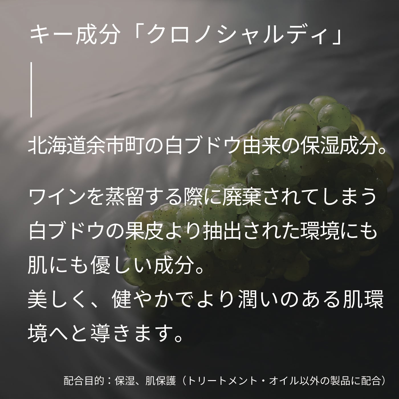 CHRONO CHARME BRAMARE COLLECTION bodywash（ブラマーレコレクション
