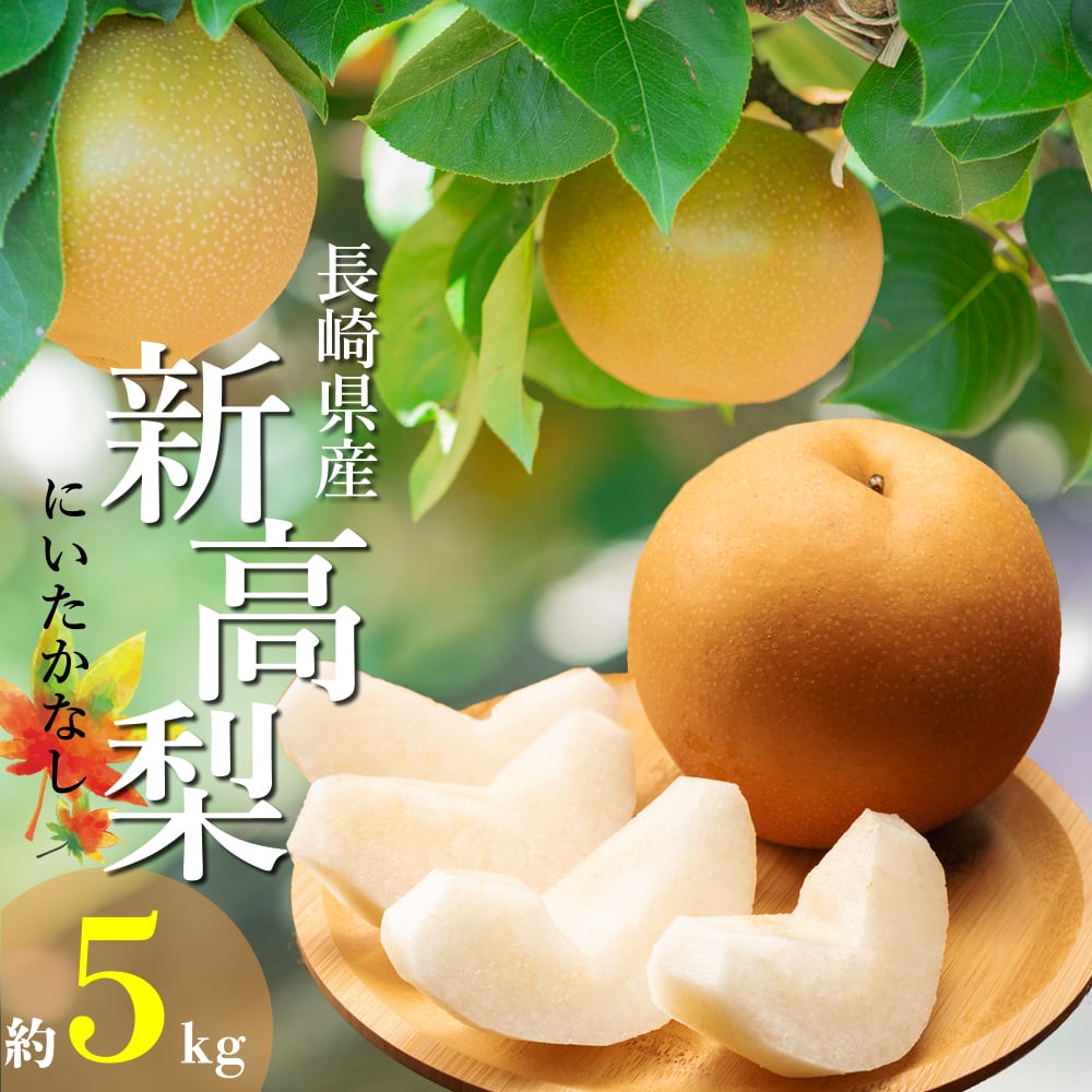 長崎県産 新高梨 約5kg 果物 梨 ナシ 和梨 くだもの 九州 フルーツ