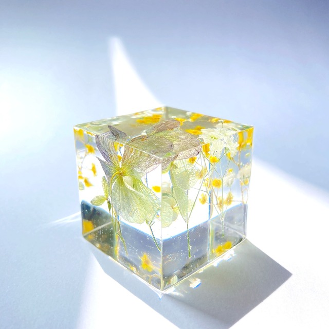 flower cube 【hydrangea】M