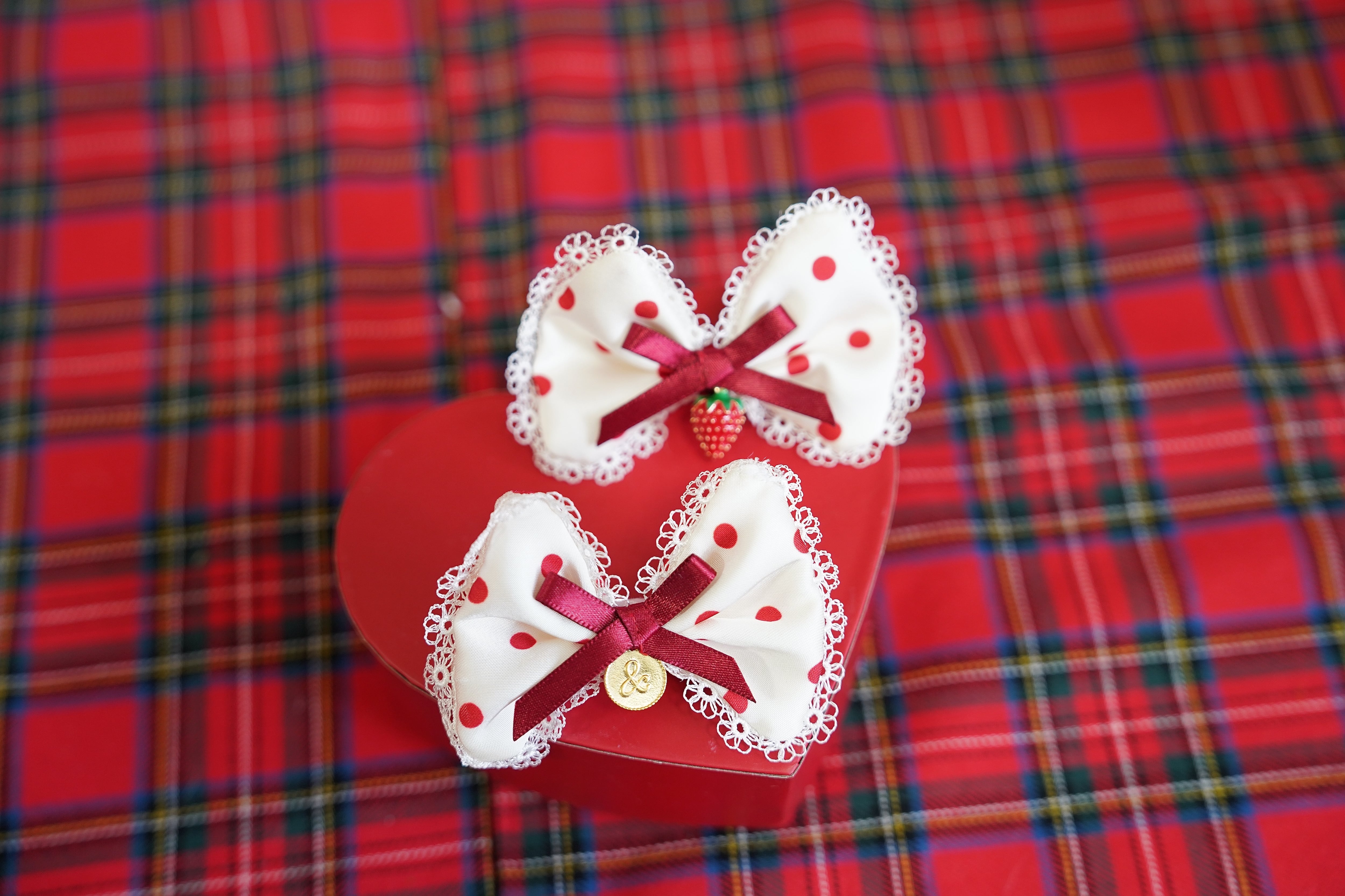 セントポーリアバレッタ