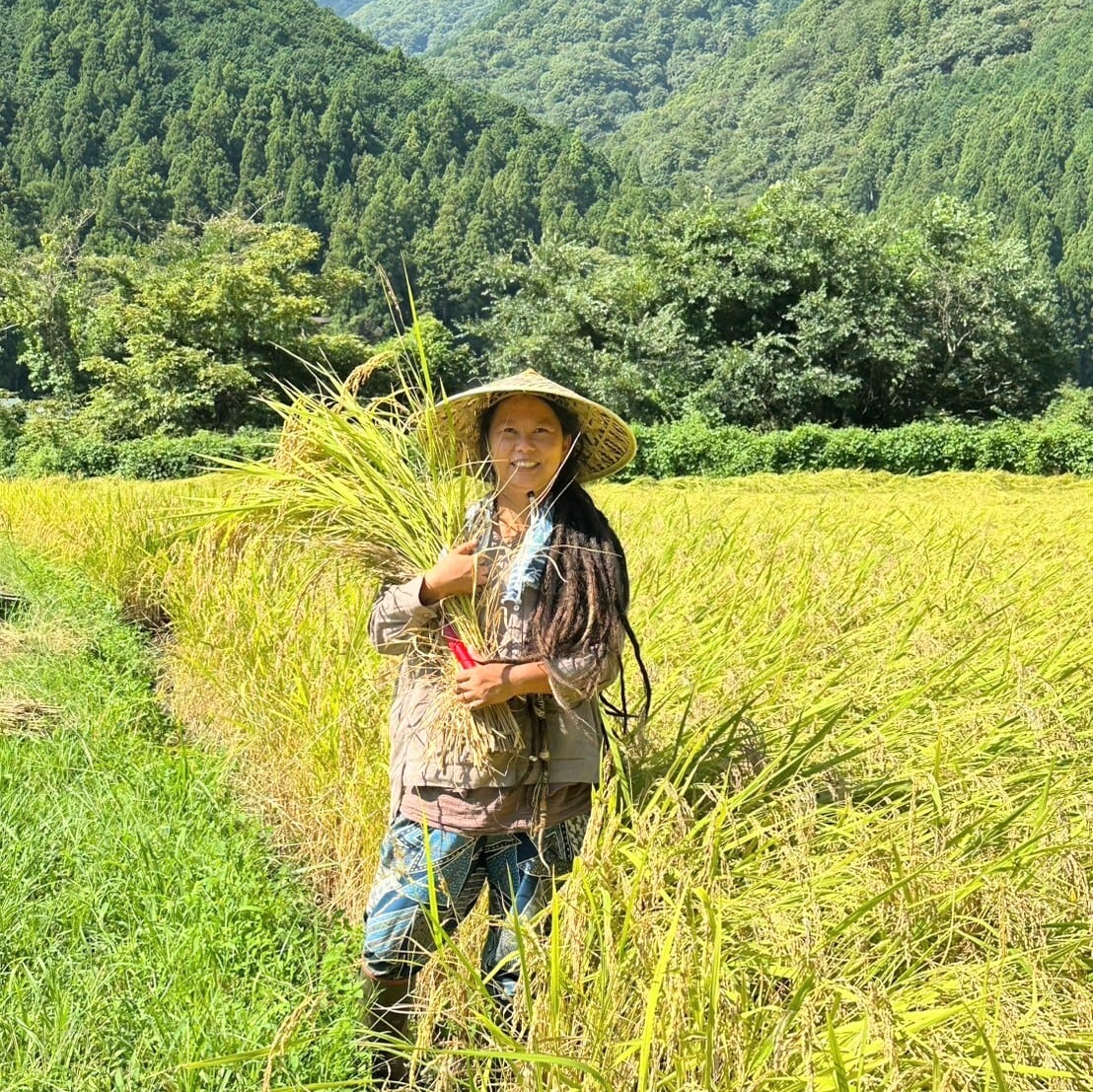 岐阜県根尾産・令和7年新米【減農薬・特別栽培コシヒカリ】安穏米 5kg