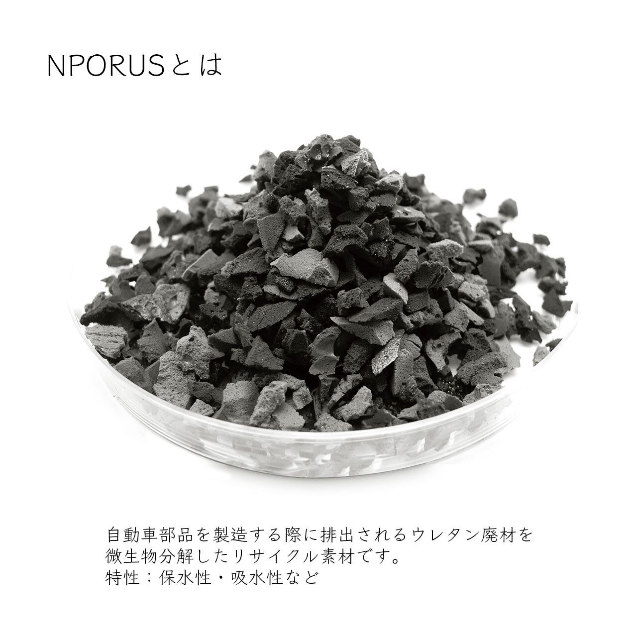苔テラリウム Mサイズ（NPORUS） | plus to u