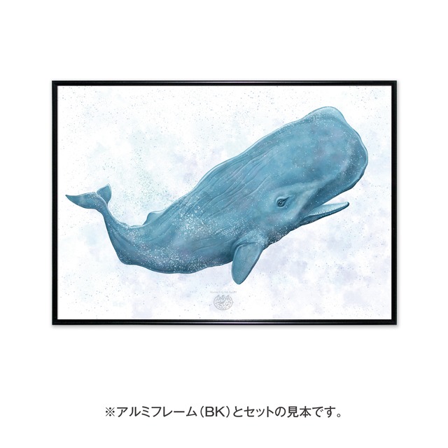 【海のいきものアートポスター／海洋哺乳類】マッコウクジラ