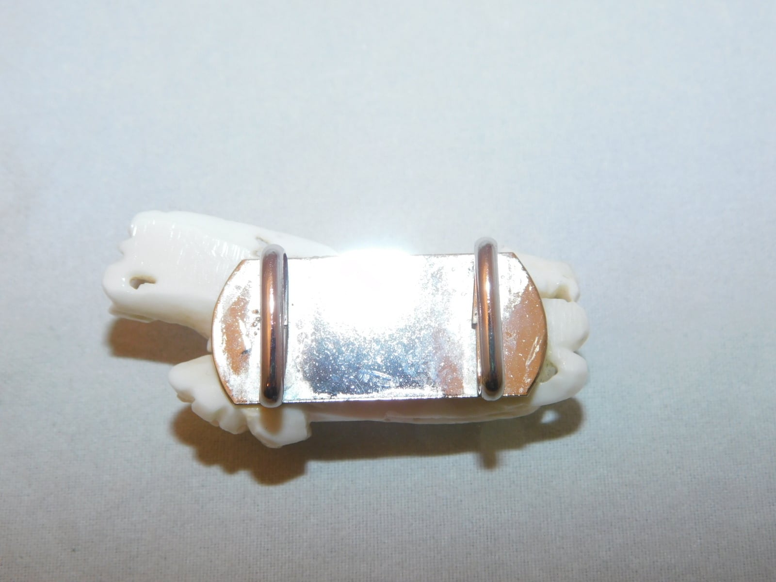 白珊瑚珠帯留アンティーク