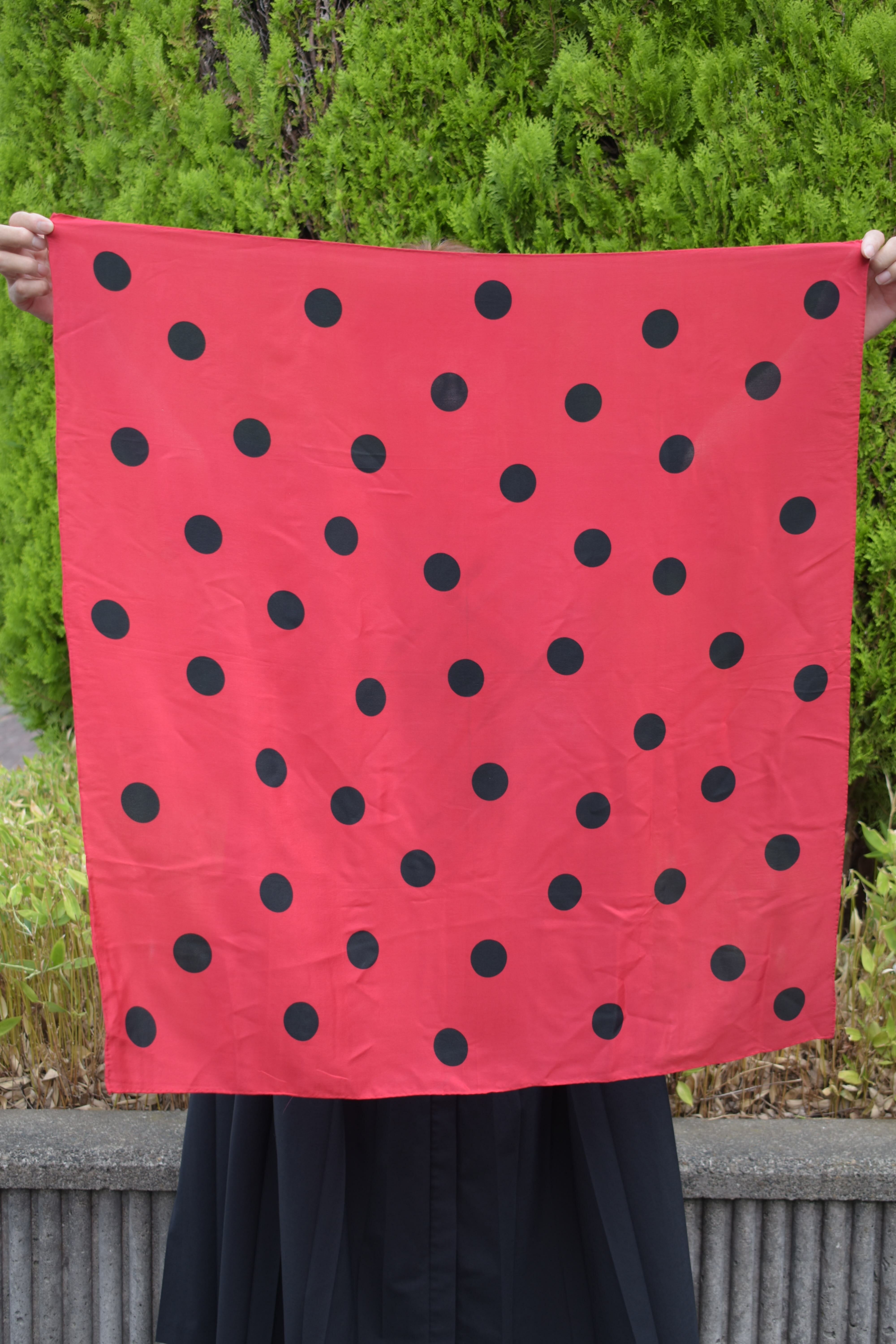 Red and black polka-dot scarf